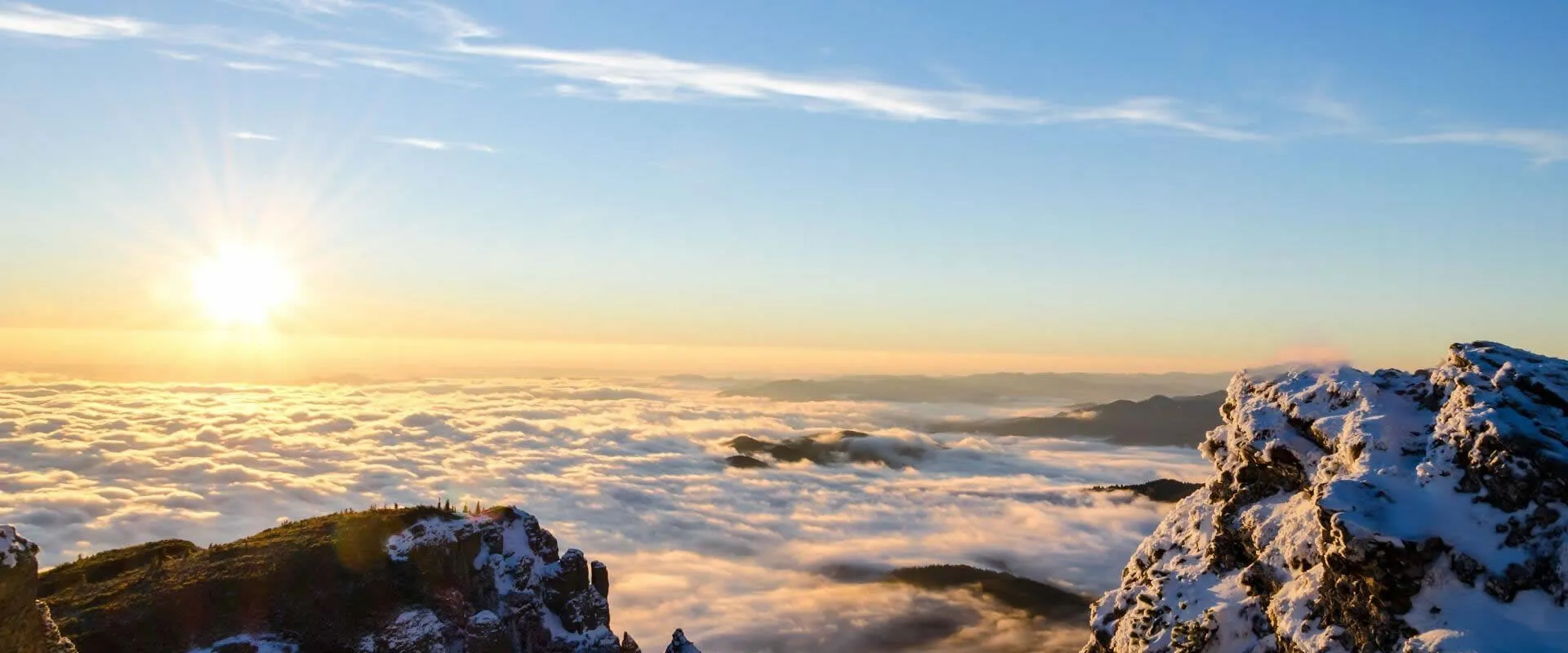 High quality products, timely delivery, thoughtful service.